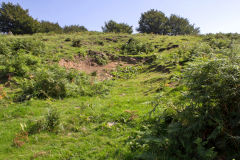 
Level behind old Llanhilleth Farm, August 2013